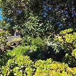 El Lagar, Bodega A Fuencaliente de la Palma