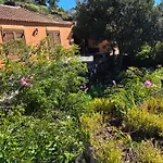 El Lagar, Bodega A Fuencaliente de la Palma
