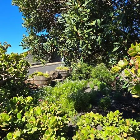 El Lagar, Bodega A Fuencaliente de la Palma
