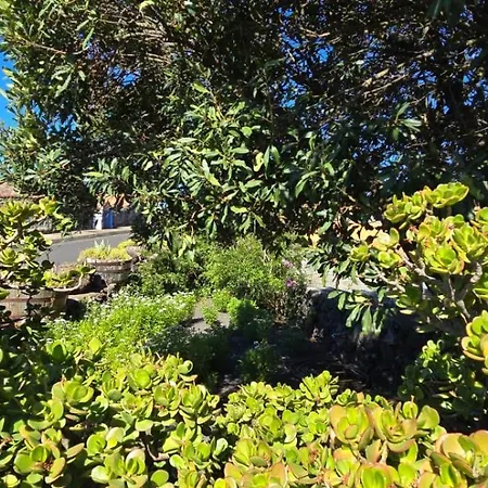 El Lagar, Bodega A Fuencaliente de la Palma