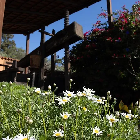 Holiday home El Lagar, Bodega A *